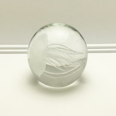 画像4: クラゲガラス ペーパーウェイト Mサイズ　ホワイト
