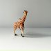 画像4: Animal Keyring “Giraffe” アニマルキーリング “キリン” (4)